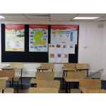 Soft Board 240cm x 120cm (8ft x 4ft)